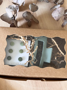 Hair Claw & Earring Gift Box (Green)