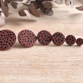 Mylah Circle Studs