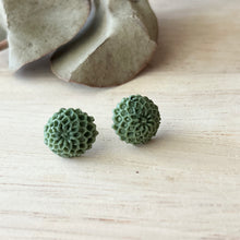 Load image into Gallery viewer, Succulent Studs (Resin)
